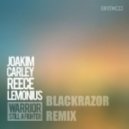 Joakim Carley feat. Reece Lemonius - Warrior (BlackRazor Remix)