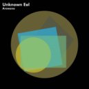 Unknown Eel - Drimmer (Original Mix)