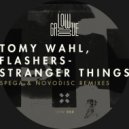 Tomy Wahl, Flashers - Silent Covenant (Original Mix)