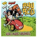 AYU Acid - A Little Bit Of Niceness (Goes A Long Way) (Original Mix)