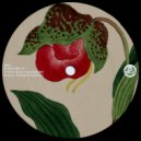 Dam'cy - My Love Is Gone