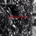 Lefthandsoundsystem - Quizas