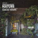 Carlos Hoops - Fractal Room