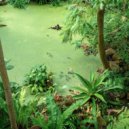 Turntables Night Fever - Barriers