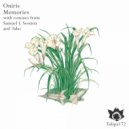 Oniris - Memories (Taho Remix)