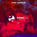 Pyry Okkolin - Essence (Original Mix)