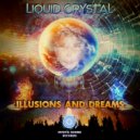 Liquid Crystal - The Perpetual Wanderer
