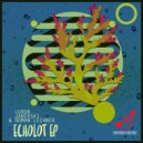 Lurob & Roman Lechner - Echolot (Original Mix)