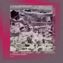 A Thousand Details - Vexus V