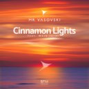 Mr. Vasovski feat. Márk Járai - Cinnamon Lights (Radio Mix)