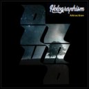 Holographism - Attraction