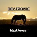 Beatronic - Black Horse (Original Mix)