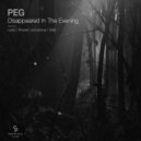 Peg - Disappeared In The Evening (Robert Johnstone Remix)