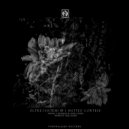 Matteo Cortese - Oltre I Sistemi II