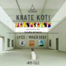 Knate Koti - Mindbrains (Lysis Dub Version)