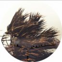 Tominori Hosoya - Thinking Of The Days (Original Mix)