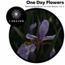 Healed Terra - Nothing But Pleasure (Original Mix)