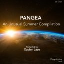 NuD3P - Pangea