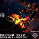 Rodrigo Risso - Degrees