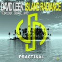 David Leek - Island Radiance (Nowell Remix)