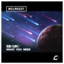 SB(UK) - What You Need