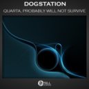 Dogstation - Quarta, Probably Will Not Survive