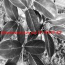 Lefthandsoundsystem - Xong