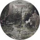 Dr Cyanide - TTM39 (Original Mix)