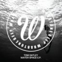 Tom Gatley - The Whale