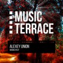 Alexey Union, Batuko - Survivor (Original Mix)