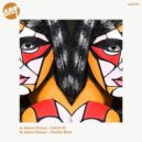 Marco Strous - Double Bind