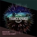 New Decline - Contrast