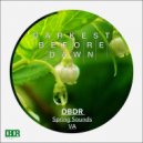 Close Mouth Open Ears - Wildlife Dancefloor