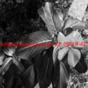 Lefthandsoundsystem - Fe