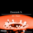 Dominik S. - All I Want