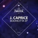 J Caprice - Beginner\'s Mind (Original Mix)