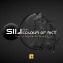 SiLi feat. Colour of Rice - Can\'t Make It Right (Original Mix)