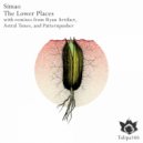 Simao - The Lower Places (Ryan Artifact Remix)