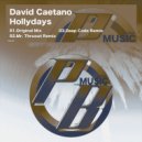 David Caetano - Hollydays (Mr. ThruouT Remix)