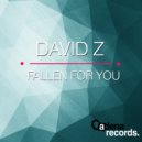 David Z - Fallen For You (Ras La Visière Remix)