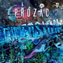 Prozac - Shine