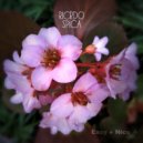 Ricrdo - Unstability