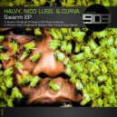 Halvy, Nico Luss, Curva - Swarm (HP SOURCE Remix)