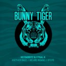 No Rabbitz, Vynal K - We Are Insane (Original Mix)