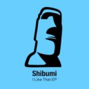 Shibumi - I Like That (Renegade Masters Remix)