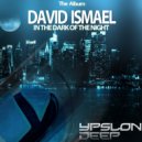 David Ismael - Walk Around (Original Mix)