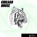 Dmitry Povarnitsin - Chicago House (Original Mix)