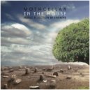 Max Bertolesi - What Time Is It (Original Mix)