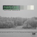Purple Key - We Dance (Original Mix)