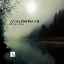 Avalon Rays - Keep On Moving (Original Mix)